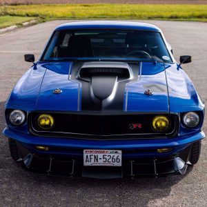 1969 Mustang Hood - Carbon Fiber - Ring Brothers
